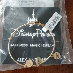 Alex and Ani Minnie Slider